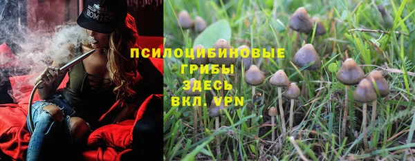 спиды Бородино