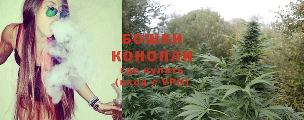спиды Бородино