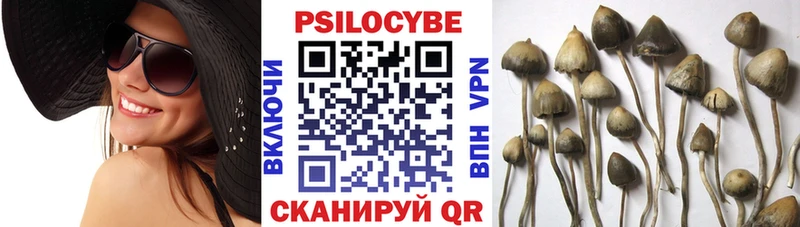 Галлюциногенные грибы Magic Shrooms Междуреченск